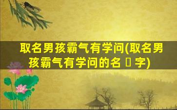 取名男孩霸气有学问(取名男孩霸气有学问的名 ☘ 字)